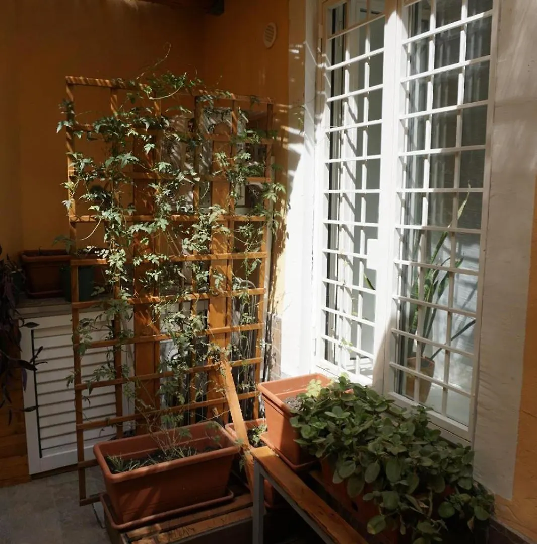Apartamento A Bridge To The Coliseum Roma Italia